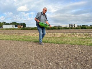 Aart den Hollander BV. sät alle Wildblumen, Feldränder und Wildmischungen von Ten Have Seeds.